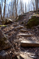 Rock steps on hardwood forest walking trail path. Sunshine streaming through trees.
