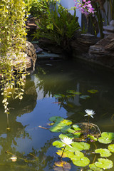 Beautiful summer garden in bloom