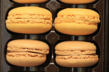 Macarons in a tray