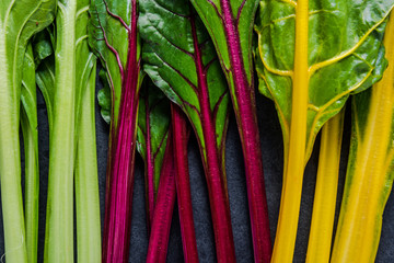 Swiss rainbow chard, vibrant vegetable