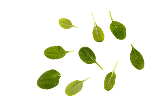  Spinach leaves