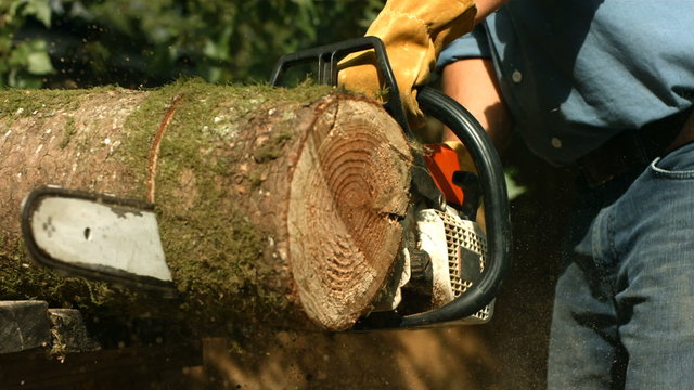 Man with chainsaw cutting log, slow motion