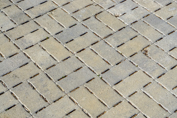 Concrete Detailed Walkway in Mosaic Pattern
