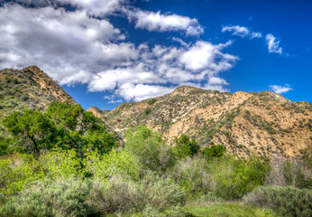 Fototapeta na wymiar Mountains at Towsley Canyon in Southern California