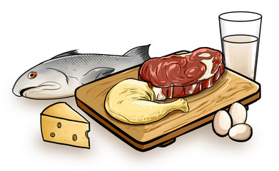 Ilustracion de varios alimentos de origen animal contiene pescado carne pollo queso leche y huevos