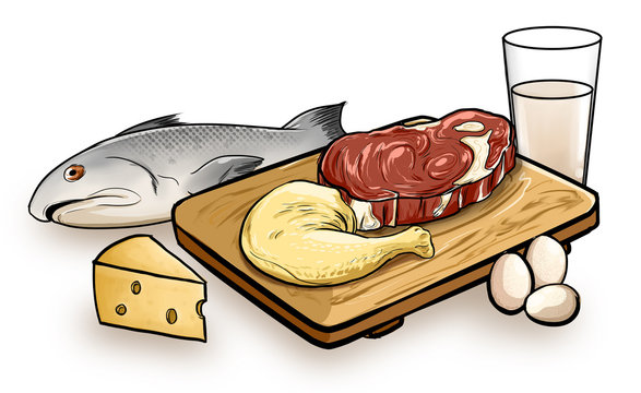 Ilustracion de varios alimentos de origen animal contiene pescado carne pollo queso leche y huevos