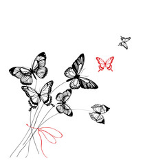 butterflies design