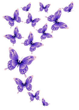 butterflies design