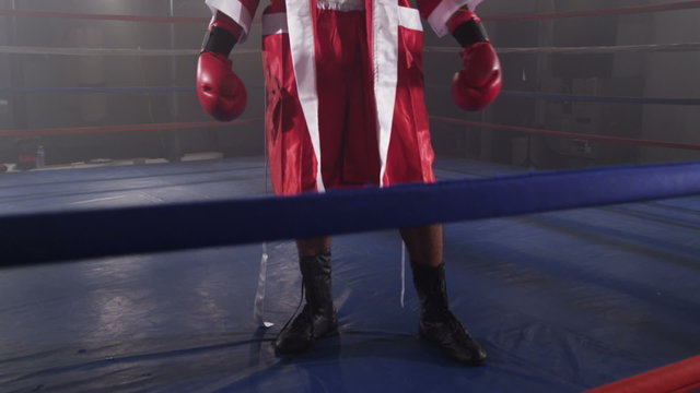 Portrait of boxer standing in ring ready to fight