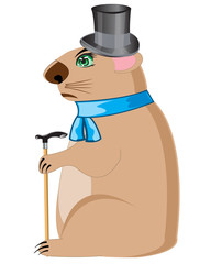 Woodchuck in hat with walking stick