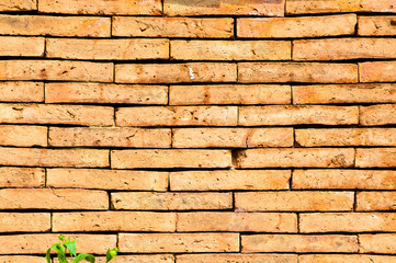 Fototapeta premium brick wall texture background