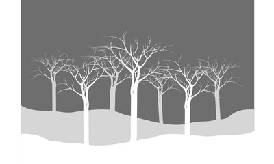 Silhouette dry tree forest