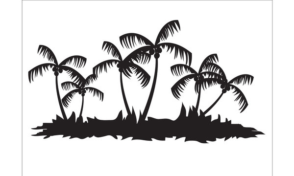 Silhouette palm tree forest