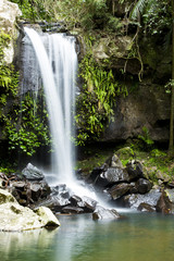 Jungle Waterfall