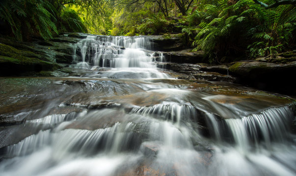 Fototapeta Lauera cascade in Blue mountains.