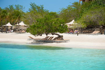 lounge chairs on the beach under shade tree with blue sky and water white sand