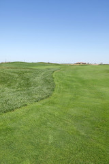 The golf course landscape