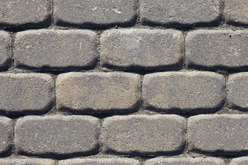 Текстура серой тротуарной плитки