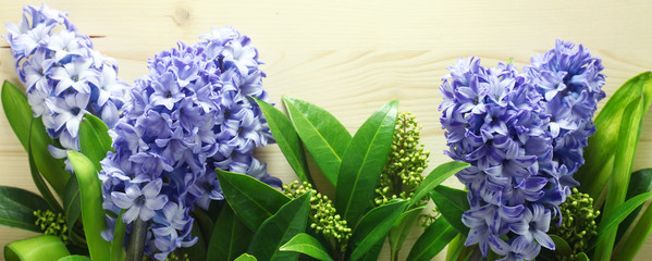 Blue Hyacinths