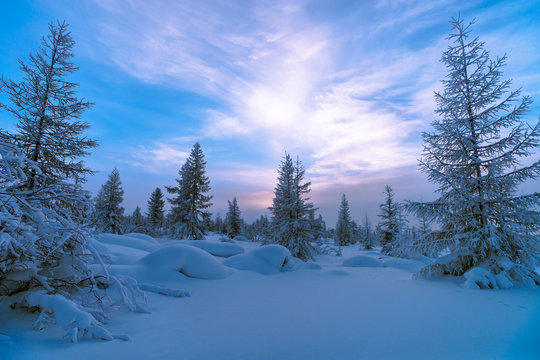 Winter landscape. Spectacular picture  is opened on mountains, trees covered with white snow, lawn and blue sky with clouds.