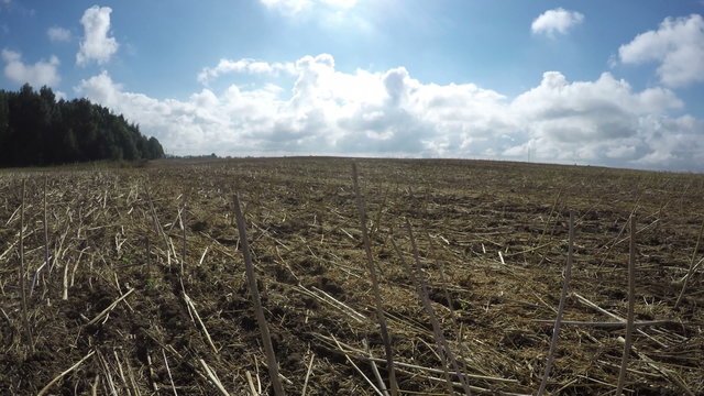 Clouds over arable rapeseed field with cut produce on sunny  day in end of summer, time lapse 4K 

