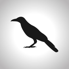 Raven hand drawn black on gray background