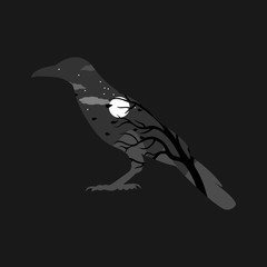 window into the night in the form of raven on dark