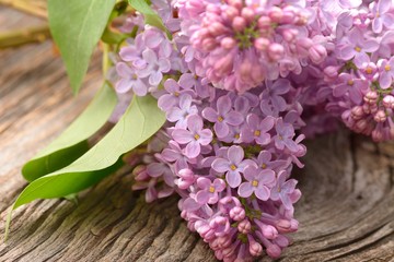 beautiful lilac on a wooden background