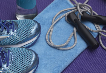 Gym Gear Blue and Purple
