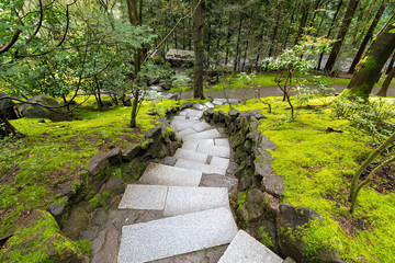 Granite Stone Steps along Mossy Green Landscape