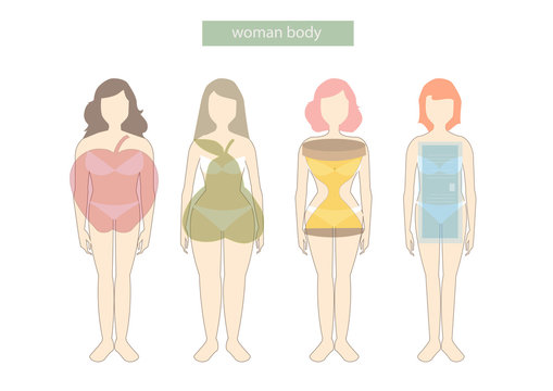 Set of female body shape Types,vector illustrations