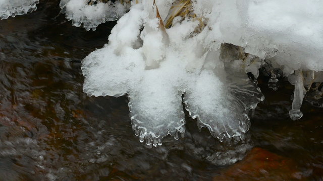 Spring creek.Spring melting of snow in the woods