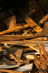 Holzbretter ungeordnet auf einem Haufen in verschiedenen Holztönen in der Abendsonne