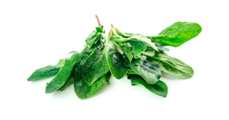 Organic nutritious salad spinach