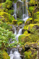 Waterfall at Japanese Garden in Spring