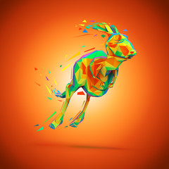 Kangaroo © Julien Tromeur