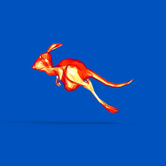 Kangaroo © Julien Tromeur