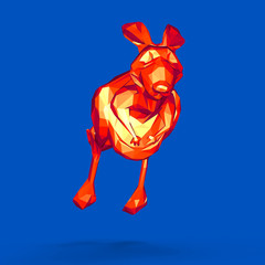 Kangaroo © Julien Tromeur