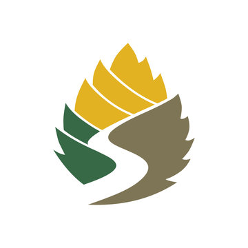 Elegant Mountain Pine Leaf Canyon River Logo Symbol