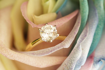 Solitaire ideal cut diamond ring in the midst of yellow rose.