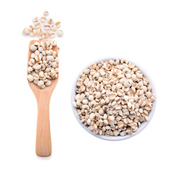 millet grains on white background