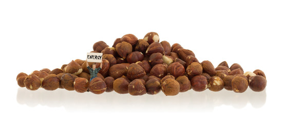 Miniature worker working with hazelnuts