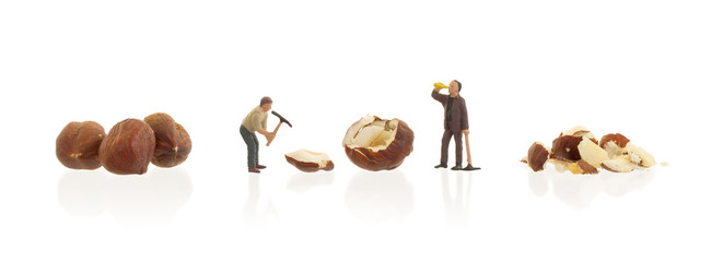 Fototapeta na wymiar Miniature worker working with hazelnuts