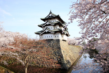 Obraz premium 弘前城の桜 日本さくら名所100選、日本の風景百選に選ばれている 