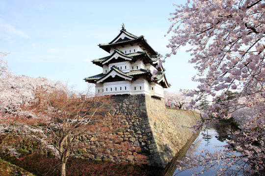 弘前城の桜
日本さくら名所100選、日本の風景百選に選ばれている
