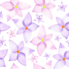 A seamless floral pattern with watercolor hand-drawn pink and purple spring flowers, painted on a white background