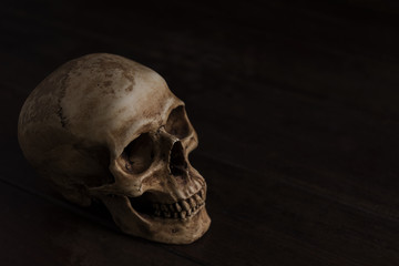 still life photography with skull