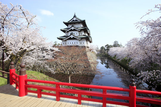 弘前公園の桜
日本さくら名所100選、日本の風景百選に選ばれている
