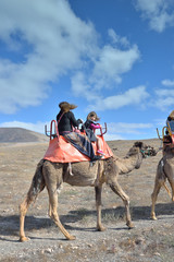 promenade en dromadaire