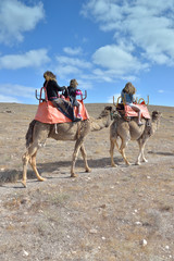 promenade en dromadaire
